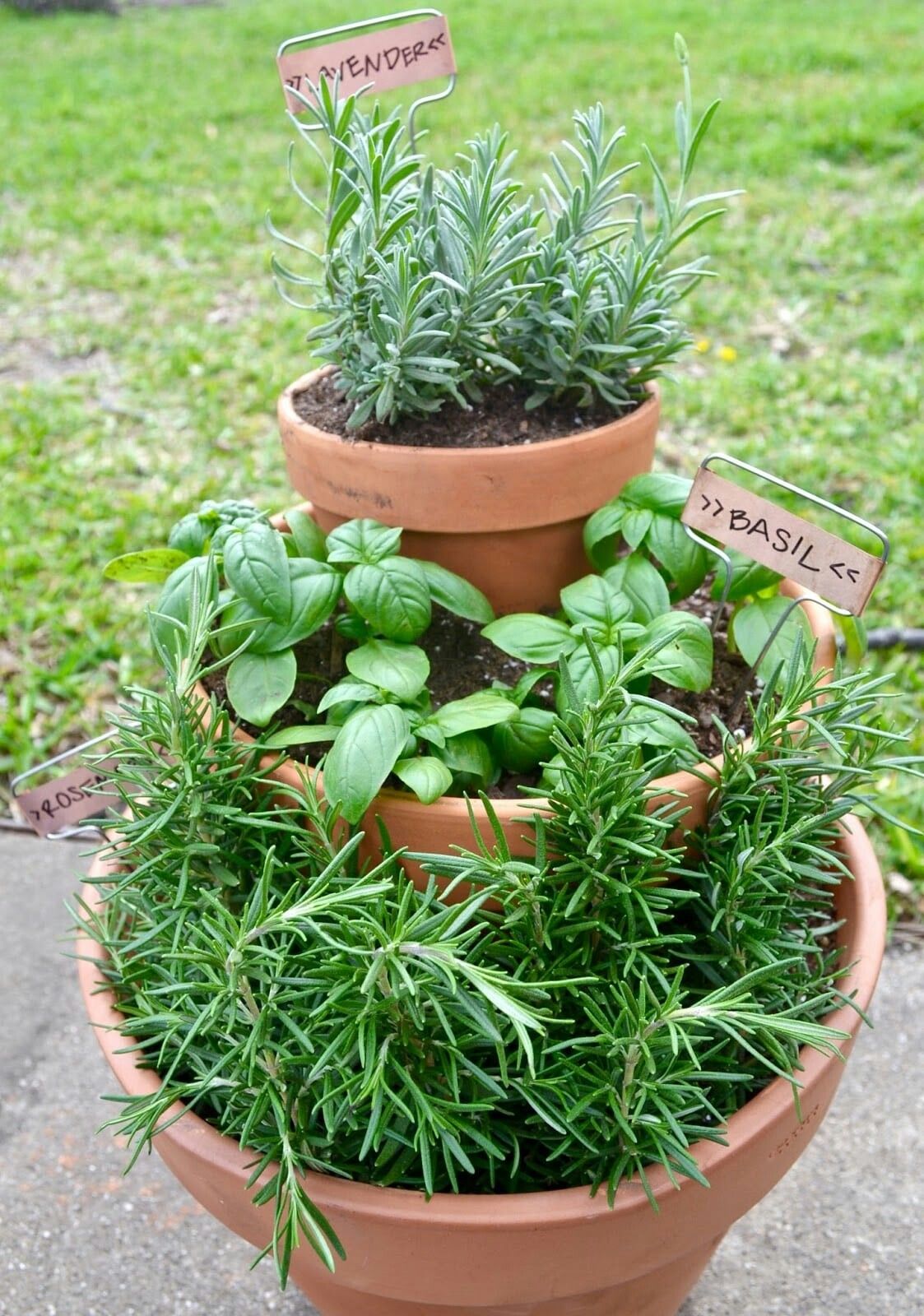 The Quick and Easy Guide to Gardening Greatness this Summer
